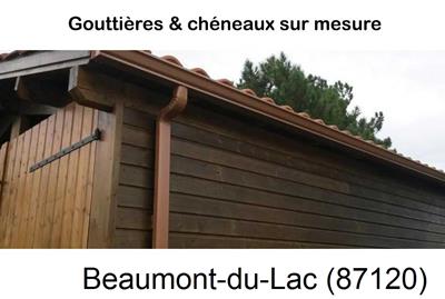 Artisan gouttière à Beaumont-du-Lac-87120