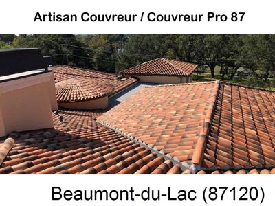 Votre couvreur dans le 87 pour la réparation de votre couverture à Beaumont-du-Lac-87120