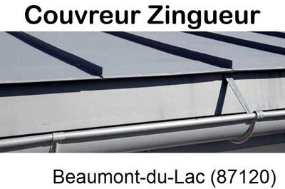 Photo toiture zinc Beaumont-du-Lac-87120