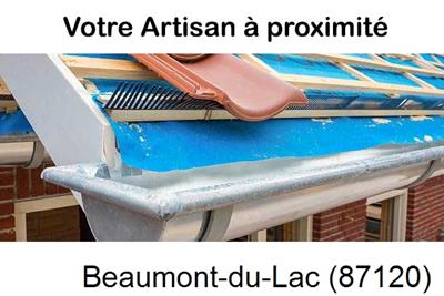 Toiture neuve en zinc Beaumont-du-Lac-87120