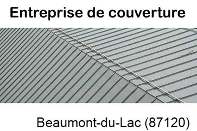 Couvreur pro 87 Beaumont-du-Lac-87120