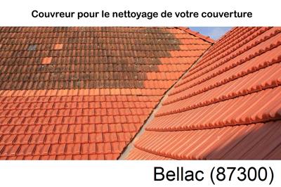 Entreprise de couverture à Bellac-87300