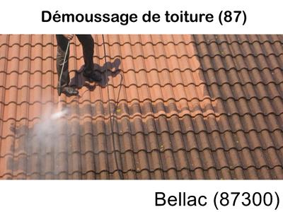 Toiture démoussage Bellac-87300