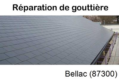 gouttière alu à Bellac-87300