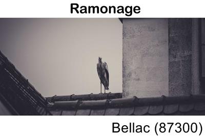 Votre couvreur pour un ramonage Bellac-87300