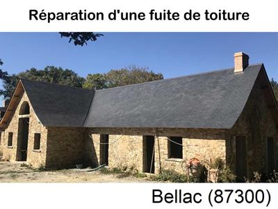 Artisan couvreur à la recherche d'une fuite Bellac-87300