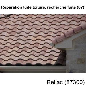 Votre couvreur pour la réparation des toits Bellac-87300