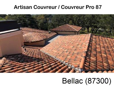 Votre couvreur dans le 87 pour la réparation de votre couverture à Bellac-87300