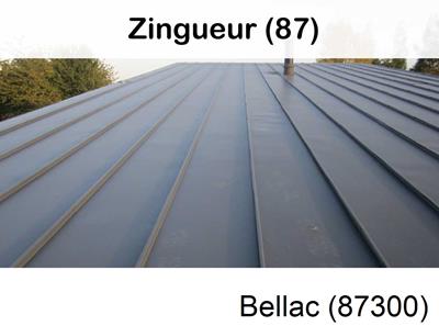 Votre zingueur en image à Bellac-87300