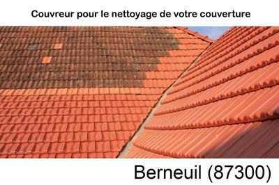 Entreprise de couverture à Berneuil-87300