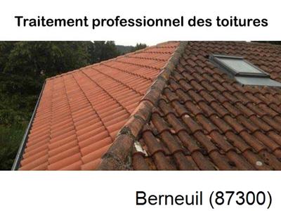 Couvreur pro 87 sur Berneuil-87300