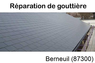 gouttière alu à Berneuil-87300