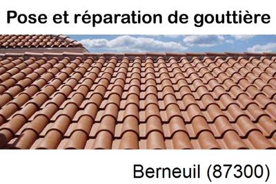 Artisan gouttière à Berneuil-87300