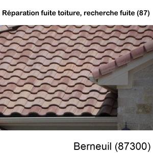 Votre couvreur pour la réparation des toits Berneuil-87300