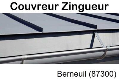 Photo toiture zinc Berneuil-87300