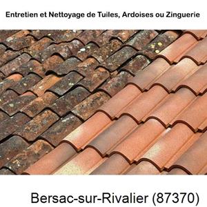 Nettoyage toiture à Bersac-sur-Rivalier-87370