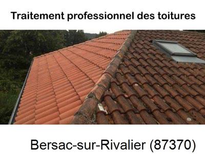 Couvreur pro 87 sur Bersac-sur-Rivalier-87370