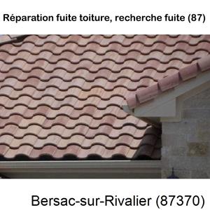 Votre couvreur pour la réparation des toits Bersac-sur-Rivalier-87370