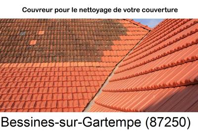 Entreprise de couverture à Bessines-sur-Gartempe-87250