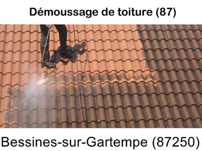 Toiture démoussage Bessines-sur-Gartempe-87250