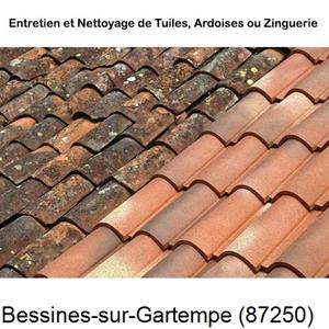 Nettoyage toiture à Bessines-sur-Gartempe-87250