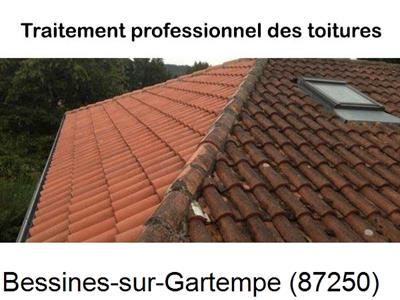 Couvreur pro 87 sur Bessines-sur-Gartempe-87250