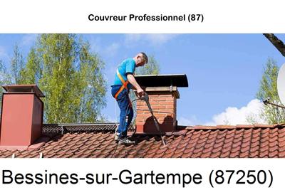 Couvreur à Bessines-sur-Gartempe-87250