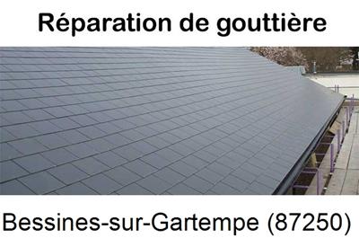 Pose gouttière pvc à Bessines-sur-Gartempe-87250