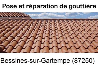 gouttière aluminium en continu à Bessines-sur-Gartempe-87250