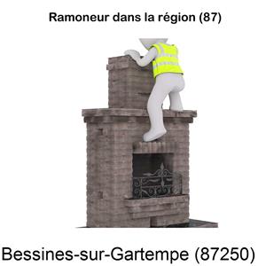 Couvreur ramoneur Bessines-sur-Gartempe-87250