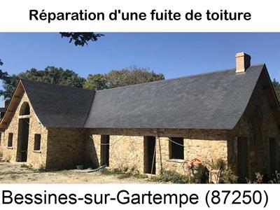 Réparation fuite à Bessines-sur-Gartempe-87250