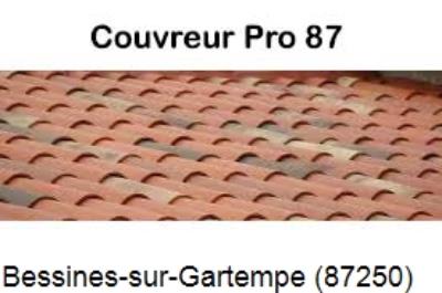 Votre couvreur pour la réparation des toits Bessines-sur-Gartempe-87250