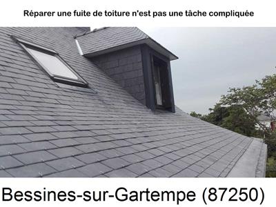 Entreprise de couverture à Bessines-sur-Gartempe-87250