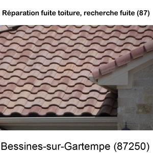 Votre couvreur dans le 87 pour la réparation de votre couverture à Bessines-sur-Gartempe-87250