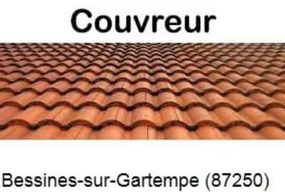 Toiture réparation à Bessines-sur-Gartempe-87250