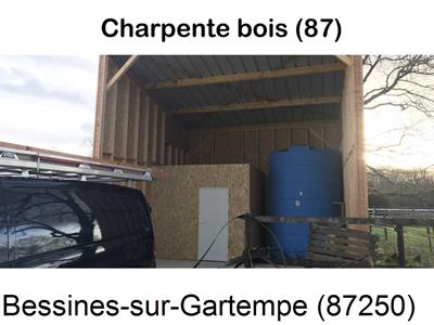 Votre artisan couvreur à Bessines-sur-Gartempe-87250