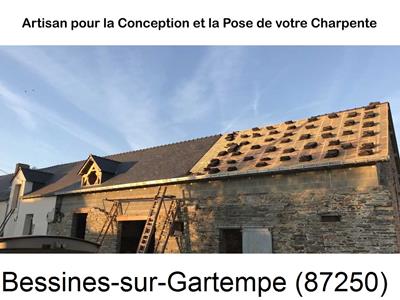 Rénovation charpente à Bessines-sur-Gartempe-87250