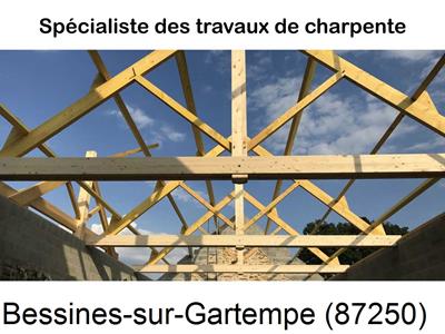 Charpente, couverture et zinguerie, entreprise batîment à Bessines-sur-Gartempe-87250