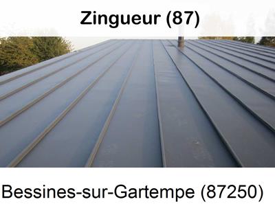 Votre zingueur en image à Bessines-sur-Gartempe-87250