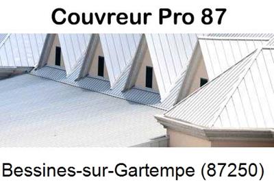 Entreprise de zinguerie à Bessines-sur-Gartempe-87250