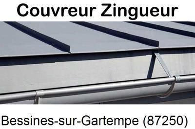 Photo toiture zinc Bessines-sur-Gartempe-87250