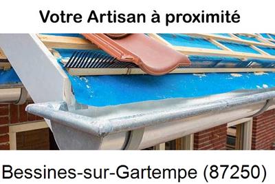 Toiture neuve en zinc Bessines-sur-Gartempe-87250