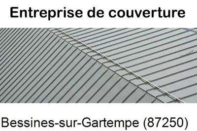 Couvreur pro 87 Bessines-sur-Gartempe-87250