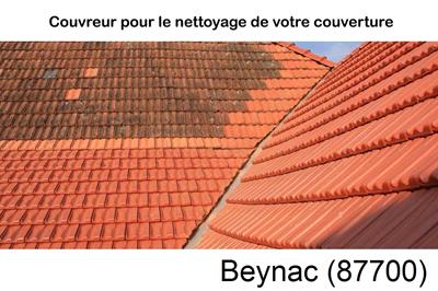 Entreprise de couverture à Beynac-87700