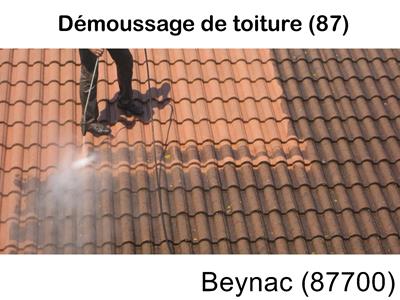 Toiture démoussage Beynac-87700