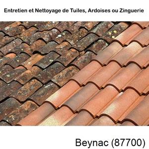 Nettoyage toiture à Beynac-87700