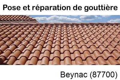 entreprise de gouttière à Beynac (87700)