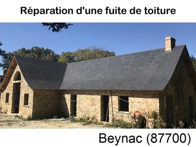 Artisan couvreur à la recherche d'une fuite Beynac-87700