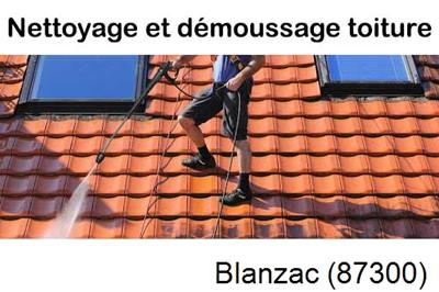 Artisan couvreur propose anti-mousse à Blanzac-87300