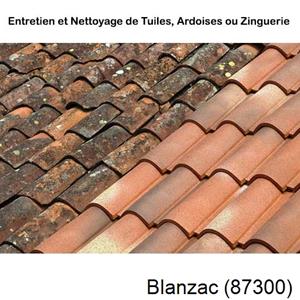 Nettoyage toiture à Blanzac-87300